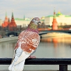 Свой бизнес с минимальными рисками Свой бизнес с минимальными рисками