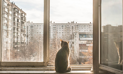 В Подмосковье на фоне высокого предложения новостроек собственники перестали завышать цены на квартиры В Подмосковье на фоне высокого предложения новостроек собственники перестали завышать цены на квартиры